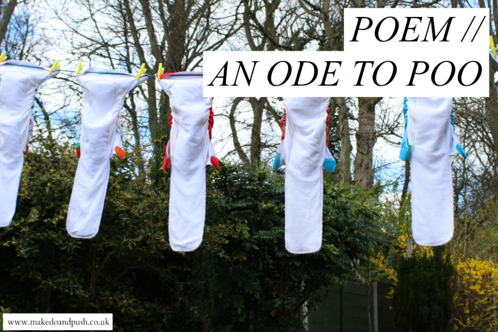 an ode to poo