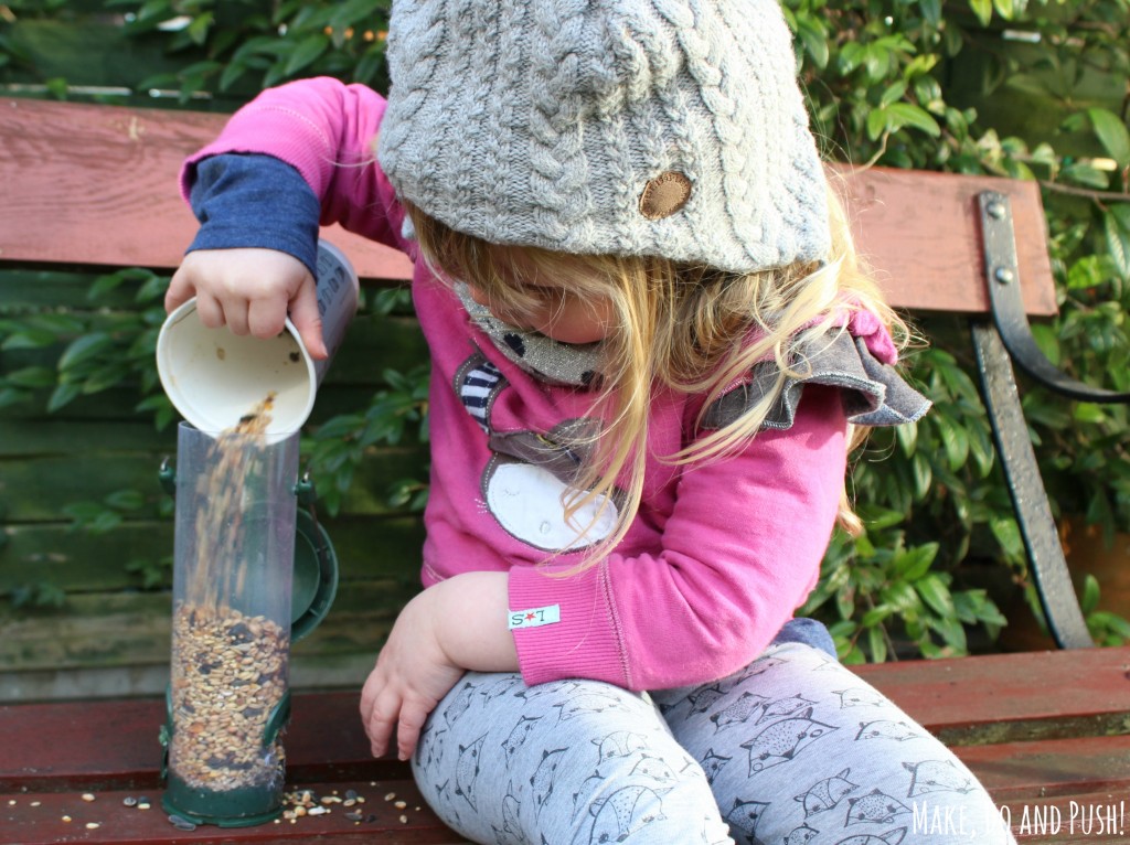 feed the birds