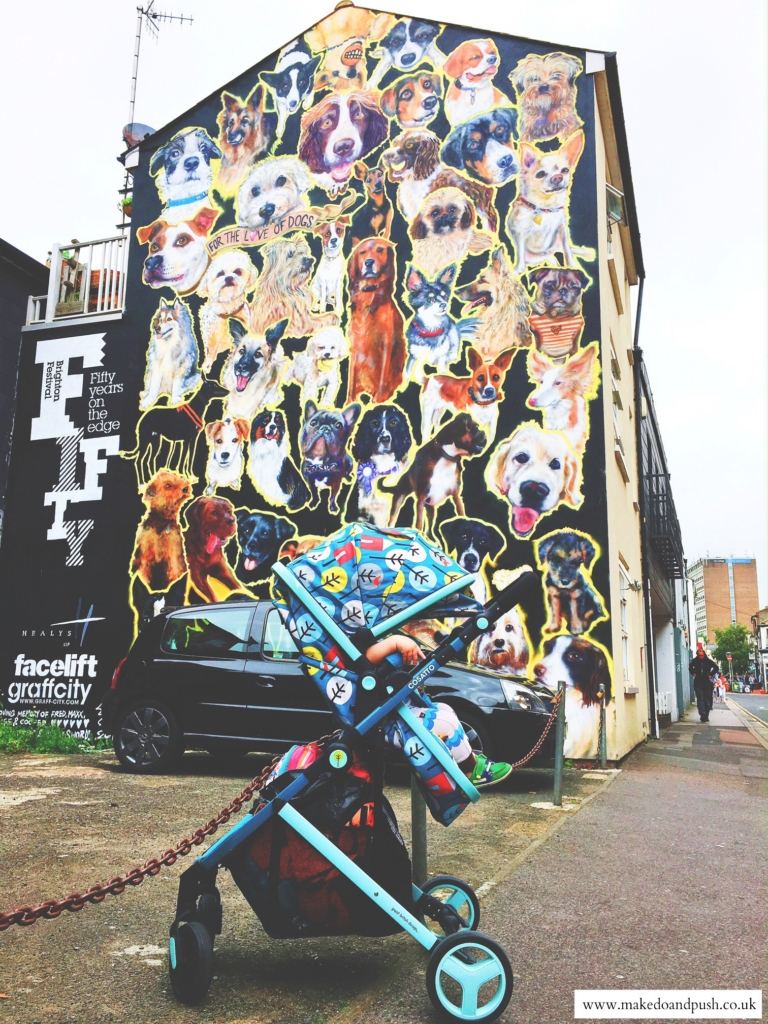 cosatto wish in brighton